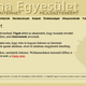 Illustration for article titled Íme ötven jó állapotú fosszília a magyar internet hajnaláról